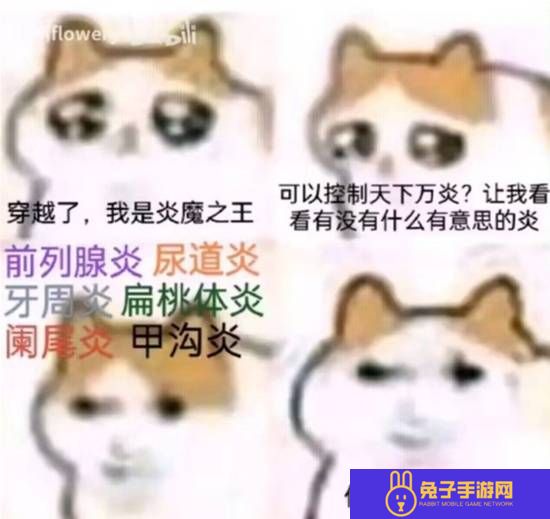 本站