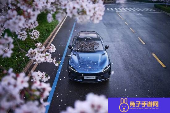 本站