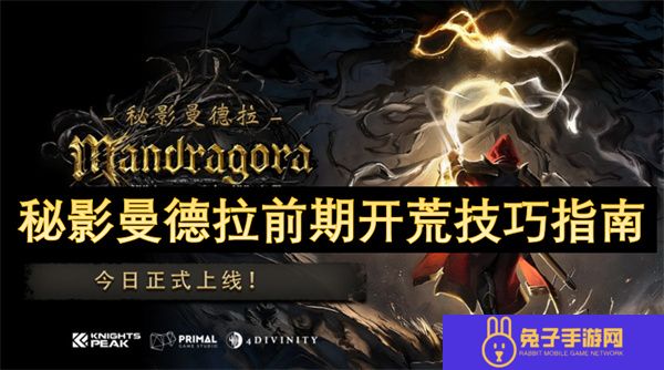 秘影曼德拉前期开荒技巧指南