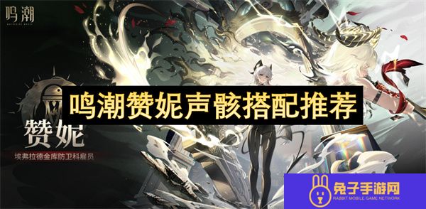 鸣潮赞妮声骸搭配推荐