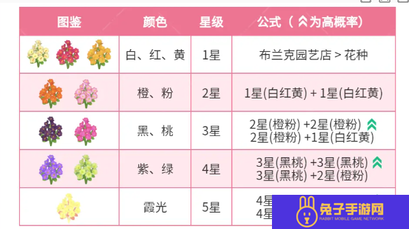 心动小镇春野令霞光迎春花怎么种植